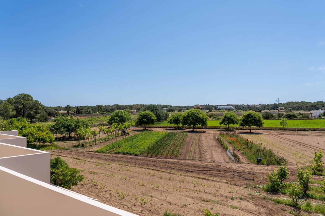 Apartamentos Marcelino - Formentera Break Es Pujols Eksteriør billede